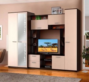 АЛЕКСАНДРА 10 Стенка в Ялуторовске - yalutorovsk.ok-mebel.com | фото 2