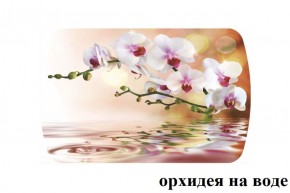 БОСТОН - 3 Стол раздвижной Орхидея на воде 1100/1420 опоры Триумф в Ялуторовске - yalutorovsk.ok-mebel.com | фото 2