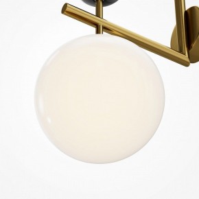 Бра Maytoni Museo MOD436WL-01BS в Ялуторовске - yalutorovsk.ok-mebel.com | фото 6