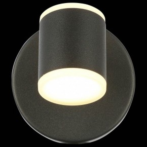 Бра ST-Luce Formolla SL1597.401.01 в Ялуторовске - yalutorovsk.ok-mebel.com | фото 5