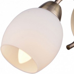 Бра TopLight Merry TL3780B-01AB в Ялуторовске - yalutorovsk.ok-mebel.com | фото 2