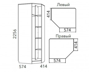 Детская Фанк Шкаф угловой Левый/Правый НМ 013.04-02 М в Ялуторовске - yalutorovsk.ok-mebel.com | фото 3