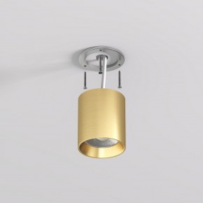DK2610-SB Накладной светильник SHINE TUBE со светодиодом, D70*H80, IP20, 3000К, 10W, RA?90, сатинированная латунь, алюминий в Ялуторовске - yalutorovsk.ok-mebel.com | фото 3