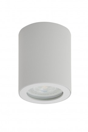 DK3007-WH Накладной светильник влагозащ., IP 44, 15 Вт, GU10, белый, алюминий в Ялуторовске - yalutorovsk.ok-mebel.com | фото
