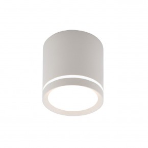 DK4013-WH Светильник накладной IP 20, 5 Вт, LED 4000, белый, алюминий/акрил в Ялуторовске - yalutorovsk.ok-mebel.com | фото