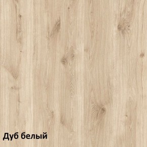 Эйп Шкаф для одежды 13.334 в Ялуторовске - yalutorovsk.ok-mebel.com | фото 5
