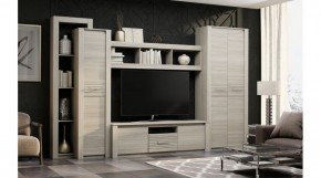 ЭЛИС Гостиная в Ялуторовске - yalutorovsk.ok-mebel.com | фото 2