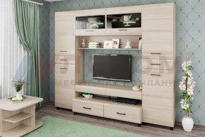 Гостиная Камелия Композиция 10 (Ясень Асахи) в Ялуторовске - yalutorovsk.ok-mebel.com | фото