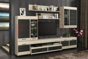 Гостиная Камелия Композиция 4 (Ясень Асахи комбинированный) в Ялуторовске - yalutorovsk.ok-mebel.com | фото
