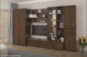 Гостиная Карина Композиция 11 (Акация Молдау) в Ялуторовске - yalutorovsk.ok-mebel.com | фото