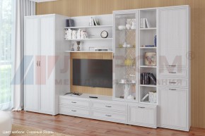 Гостиная Карина Композиция 11 (Снежный ясень) в Ялуторовске - yalutorovsk.ok-mebel.com | фото