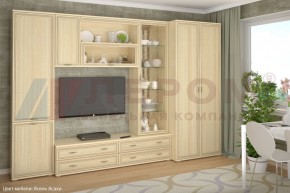 Гостиная Карина Композиция 16 (Ясень Асахи) в Ялуторовске - yalutorovsk.ok-mebel.com | фото
