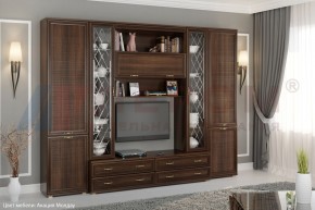 Гостиная Карина Композиция 19 (Акация Молдау) в Ялуторовске - yalutorovsk.ok-mebel.com | фото 5