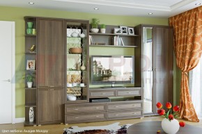 Гостиная Карина Композиция 20 (Акация Молдау) в Ялуторовске - yalutorovsk.ok-mebel.com | фото