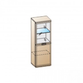 Гостиная Карина Композиция 22 (Акация Молдау) в Ялуторовске - yalutorovsk.ok-mebel.com | фото 3