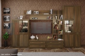 Гостиная Карина Композиция 5 (Акация Молдау) в Ялуторовске - yalutorovsk.ok-mebel.com | фото