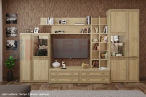 Гостиная Карина Композиция 5 (Гикори Джексон светлый) в Ялуторовске - yalutorovsk.ok-mebel.com | фото