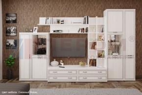 Гостиная Карина Композиция 5 (Снежный ясень) в Ялуторовске - yalutorovsk.ok-mebel.com | фото