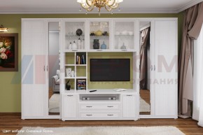 Гостиная Карина Композиция 6 (Снежный ясень) в Ялуторовске - yalutorovsk.ok-mebel.com | фото