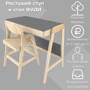 Комплект растущий стол и стул 38 попугаев «Вуди» (Серый, Без покрытия) в Ялуторовске - yalutorovsk.ok-mebel.com | фото