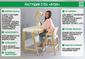 Комплект растущий стол и стул с чехлом 38 попугаев «Вуди» (Белый, Белый, Салют) в Ялуторовске - yalutorovsk.ok-mebel.com | фото 2
