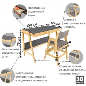 Комплект растущий стол и стул с чехлом 38 попугаев «Вуди» (Серый, Береза, Серый) в Ялуторовске - yalutorovsk.ok-mebel.com | фото 1