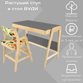 Комплект растущий стол и стул с чехлом 38 попугаев «Вуди» (Серый, Без покрытия, Монстры) в Ялуторовске - yalutorovsk.ok-mebel.com | фото