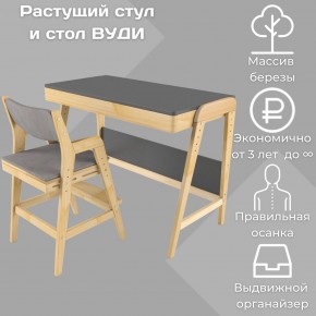 Комплект растущий стол и стул с чехлом 38 попугаев «Вуди» (Серый, Без покрытия, Серый) в Ялуторовске - yalutorovsk.ok-mebel.com | фото