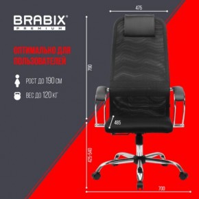 Кресло BRABIX PREMIUM "Ultimate EX-800" хром, плотная двойная сетка Х2, черное, 532911 в Ялуторовске - yalutorovsk.ok-mebel.com | фото 6