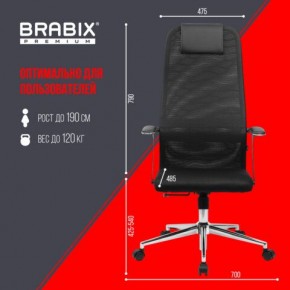 Кресло BRABIX PREMIUM "Ultimate EX-801" хром, плотная двойная сетка Х2, черное, 532917 в Ялуторовске - yalutorovsk.ok-mebel.com | фото 7