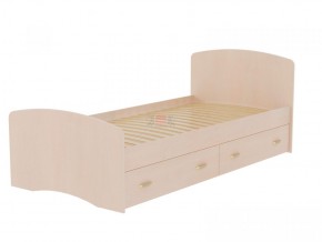 Кровать-6 одинарная с 2-мя ящиками (800*2000) в Ялуторовске - yalutorovsk.ok-mebel.com | фото 4