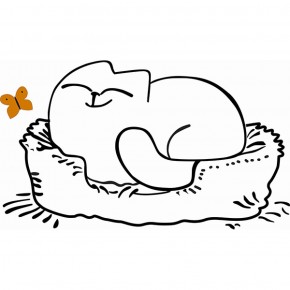 Кровать двухуровневая Кот № 900.1 ПРАВАЯ (туя светлая/белый) в Ялуторовске - yalutorovsk.ok-mebel.com | фото 2