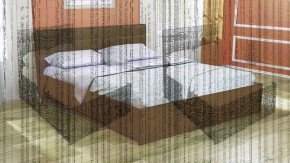 Кровать интерьерная Лита с латами 1600*2000 в Ялуторовске - yalutorovsk.ok-mebel.com | фото 4