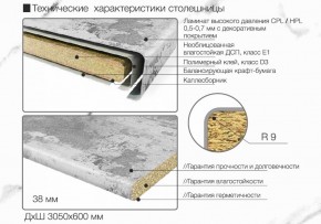 Кухонный фартук со столешницей (А-09) в едином стиле (3050 мм) в Ялуторовске - yalutorovsk.ok-mebel.com | фото 6