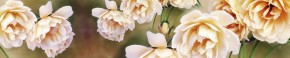 Кухонный фартук Цветы 066 МДФ матовый (3000) Flowers в Ялуторовске - yalutorovsk.ok-mebel.com | фото 1