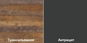 Кухонный гарнитур угловой Трансильвания 2600х1600 мм (Стол. 38 мм) в Ялуторовске - yalutorovsk.ok-mebel.com | фото 3