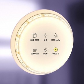 Лента светодиодная Maytoni Led strip 10114 в Ялуторовске - yalutorovsk.ok-mebel.com | фото 2