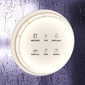 Лента светодиодная Maytoni Led strip 10118 в Ялуторовске - yalutorovsk.ok-mebel.com | фото 2