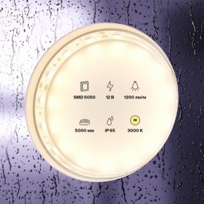 Лента светодиодная Maytoni Led strip 10131 в Ялуторовске - yalutorovsk.ok-mebel.com | фото 2