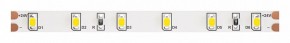 Лента светодиодная Maytoni Led strip 10140 в Ялуторовске - yalutorovsk.ok-mebel.com | фото