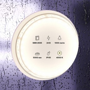Лента светодиодная Maytoni Led strip 10146 в Ялуторовске - yalutorovsk.ok-mebel.com | фото 3