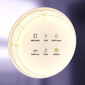 Лента светодиодная Maytoni Led strip 20031 в Ялуторовске - yalutorovsk.ok-mebel.com | фото 2
