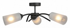 Люстра на штанге Vitaluce V2850 V2850-1/3PL в Ялуторовске - yalutorovsk.ok-mebel.com | фото 3