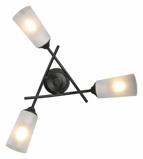 Люстра на штанге Vitaluce V2850 V2850-1/3PL в Ялуторовске - yalutorovsk.ok-mebel.com | фото 4