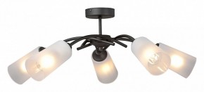 Люстра на штанге Vitaluce V2850 V2850-1/5PL в Ялуторовске - yalutorovsk.ok-mebel.com | фото