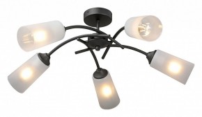 Люстра на штанге Vitaluce V2850 V2850-1/5PL в Ялуторовске - yalutorovsk.ok-mebel.com | фото 2