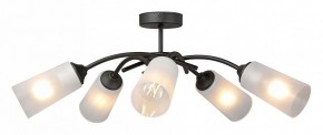 Люстра на штанге Vitaluce V2850 V2850-1/5PL в Ялуторовске - yalutorovsk.ok-mebel.com | фото 3