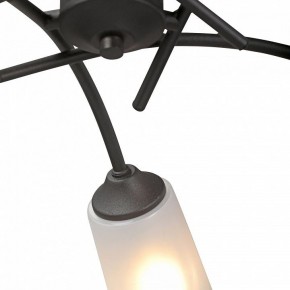 Люстра на штанге Vitaluce V2850 V2850-1/5PL в Ялуторовске - yalutorovsk.ok-mebel.com | фото 6