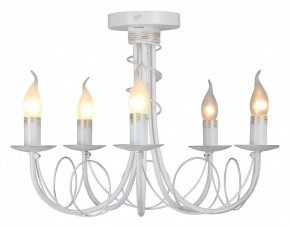 Люстра на штанге Vitaluce V3035 V3035-0/5PL в Ялуторовске - yalutorovsk.ok-mebel.com | фото 2