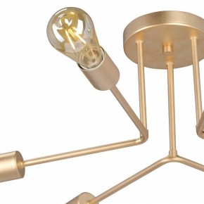 Люстра на штанге Vitaluce V3071 V3071-8/6PL в Ялуторовске - yalutorovsk.ok-mebel.com | фото 6